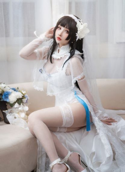 海底小纵队第七季免费观看