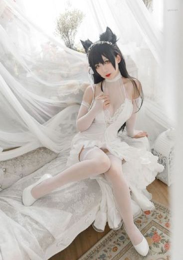 91www在线观看