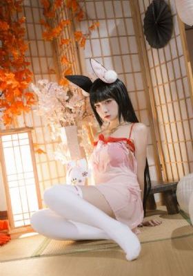 美女与野兽正片免费播放